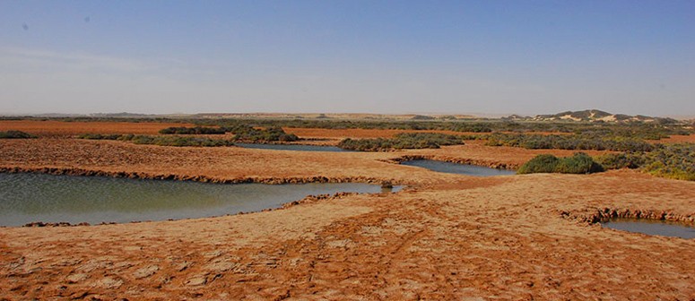 Dakhla Oasis - Egyptian Oases