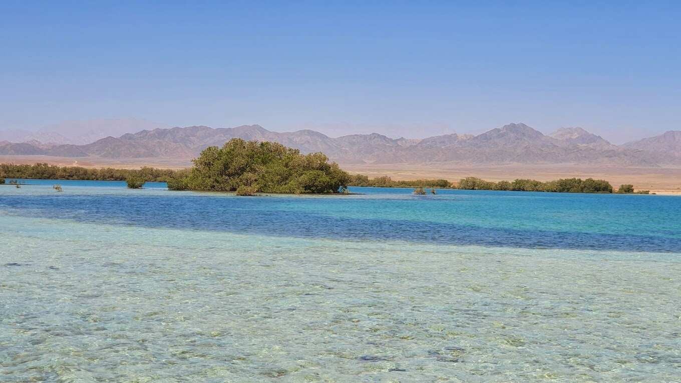 The Nabq Protected Area