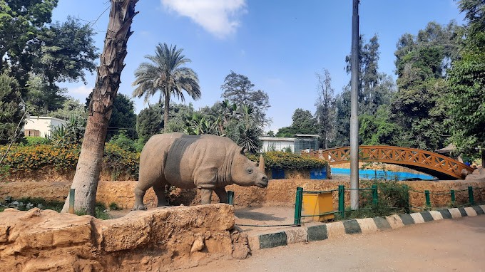 Giza Zoo