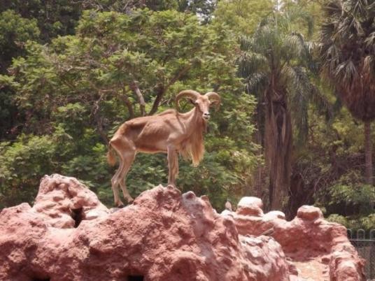 Alexandria Zoo